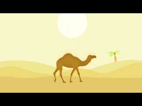 Animation 2